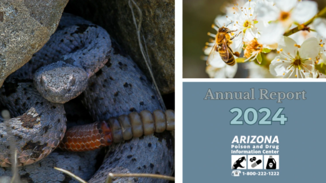 Rattlesnake, bee on flower, and text ‘Annual Report 2024’ with Arizona Poison and Drug Information Center logo.
