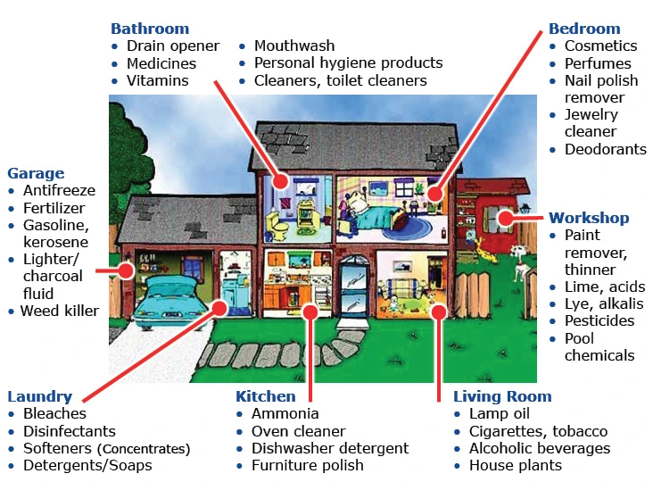 Illustration of a house showing common household poison hazards in each room, including cleaners, medicines, and chemicals in the bathroom, kitchen, garage, laundry, bedroom, living room, and workshop.