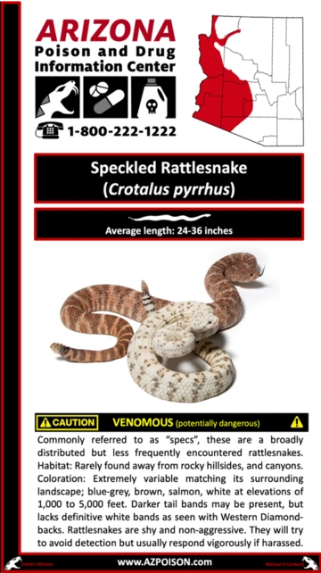 Photo of Speckled Rattlesnake